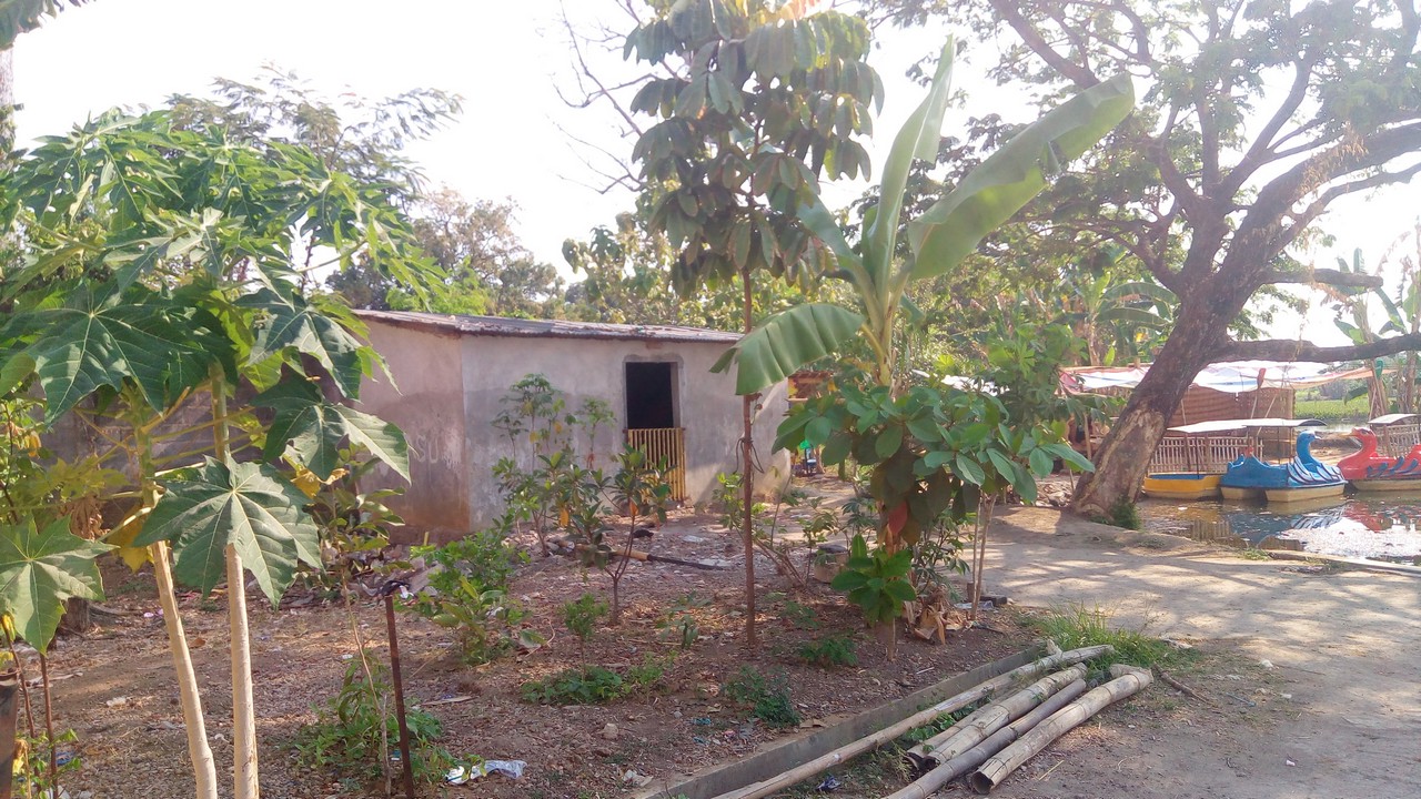 Jaringan Sanitasi